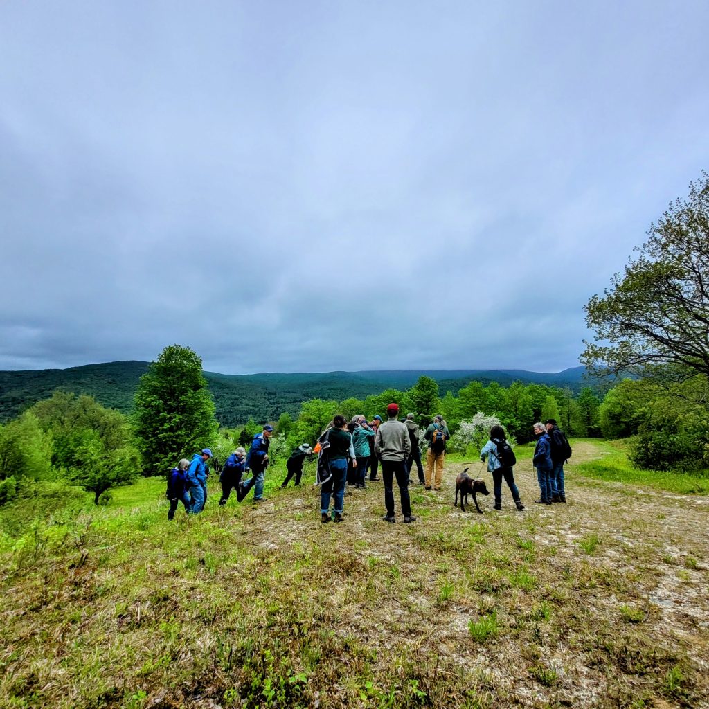 A photo of the public site walk at Boyce Hill.