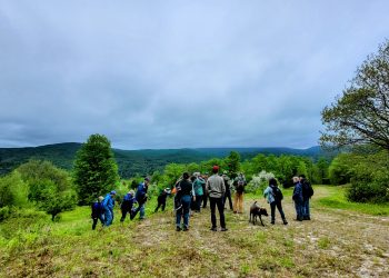 A photo of the public site walk at Boyce Hill.