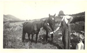 George Robinson feeding horses, 1935
