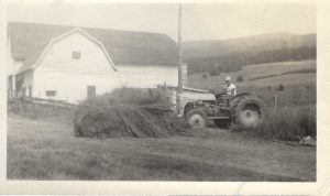 Hay Farmers, 1920