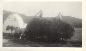 Hay Farmers, 1920
