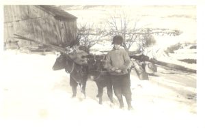 Lenord & Raymond Robinson, 1935