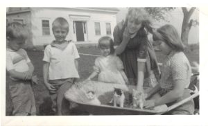 Robinson children with a wheelbarrow full off kittens on their property in East Warren, 1960-1970.