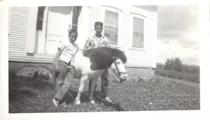 Date Unknown_Boys_Pony_Warren