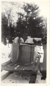 Lenord Robinson towing sap while sugaring with a team of horses.